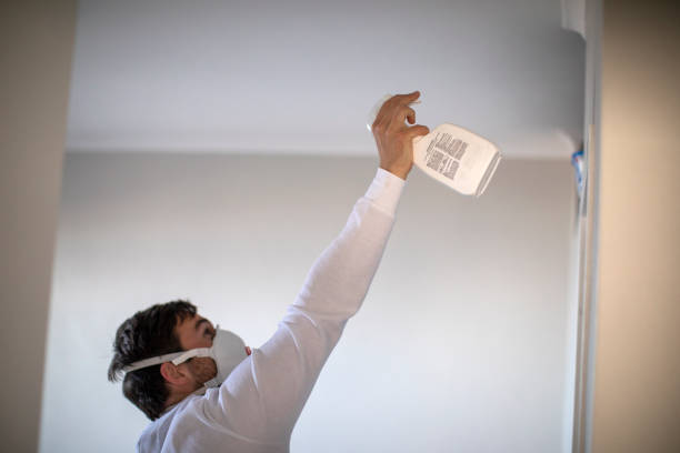Best Kitchen Mold Remediation in Malta, IL